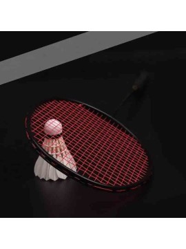 Full carbon badminto...