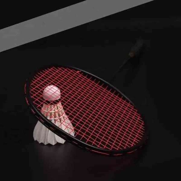 Full carbon badminton racket, ultra light