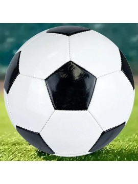 Professional Soccer ...