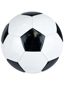 Professional Soccer ...