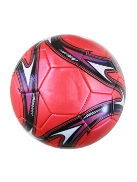 Professional Soccer ...