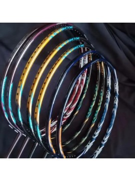 Professional Badmint...