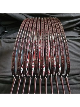 Professional Badmint...