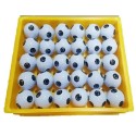 top quality two pieces golf ball