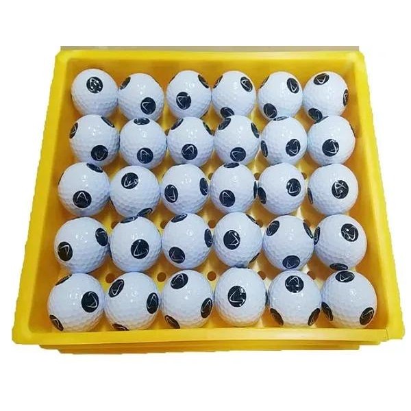 top quality two pieces golf ball