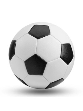 Indoor Kids/Adults S...